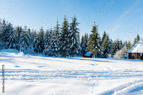 beautiful winter landscape on a sunny day © ksena32