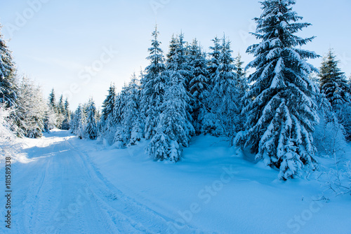 beautiful winter landscape on a sunny day