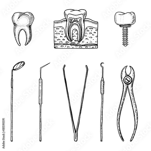 instruments equipment of the dentist for teeth enamel, set doctor. oral cavity clean or sick. health or caries human. engraved hand drawn in old or vintage sketch. medicine, care for cavity, implant.