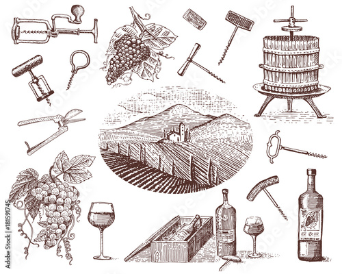 wine harvest products, press, grapes, vineyards corkscrews glasses bottles for menus and signage in the bar. engraved hand drawn in old sketch, vintage style for label or T-shirt.