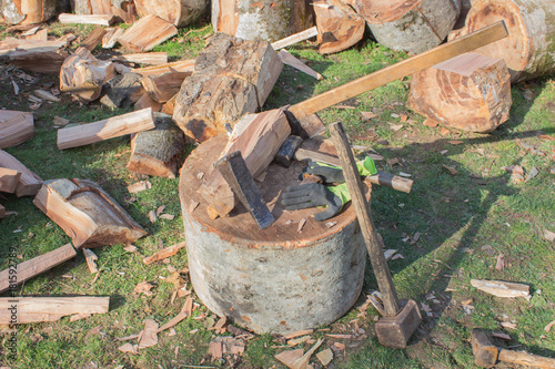 Tools for chopping trees. Pile of firewood logs and blocks