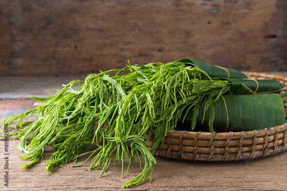 Thai local vegetable, Senegalia pennata or Acacia pennata Thai local vegetable, Senegalia pennata or Acacia pennata