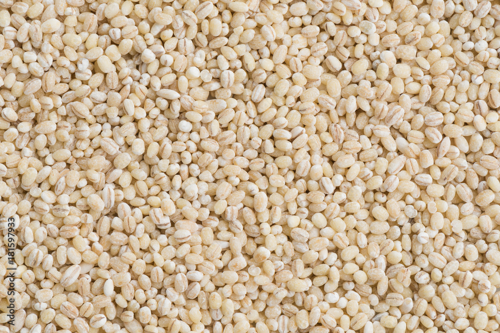 Barley seed background 