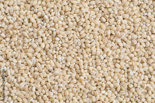 Barley seed background 