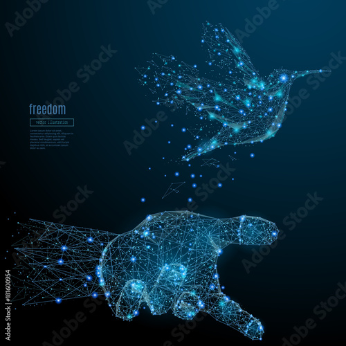 Colibri in the hand palm low poly wireframe. Vector polygonal image in the form of a starry sky or space, consisting of points, lines, and shapes in the form of stars with destruct shapes