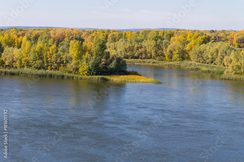 Colorful autumn trees on the riverfront.