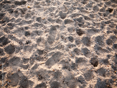 beach sand dunes floor texture background outside