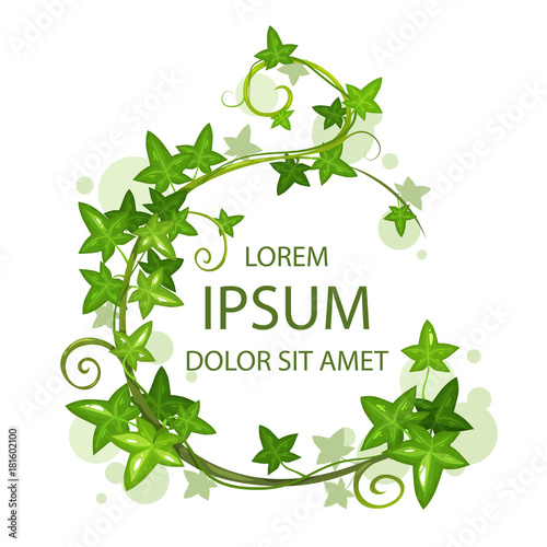 Beautiful floral banner with ivy leaves and swirls.
