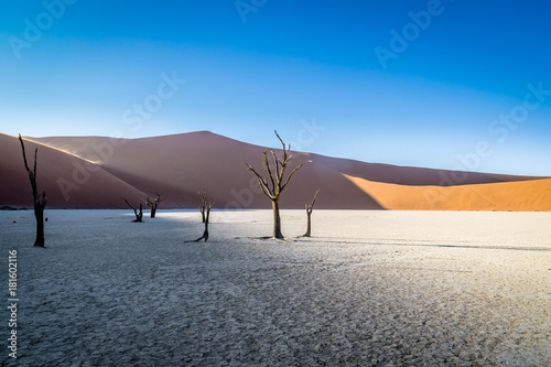 Deadvlei  Sossusvlei  Namibia