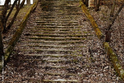 Abandoned staircase. The stadium. Noginsk. Russia. photo