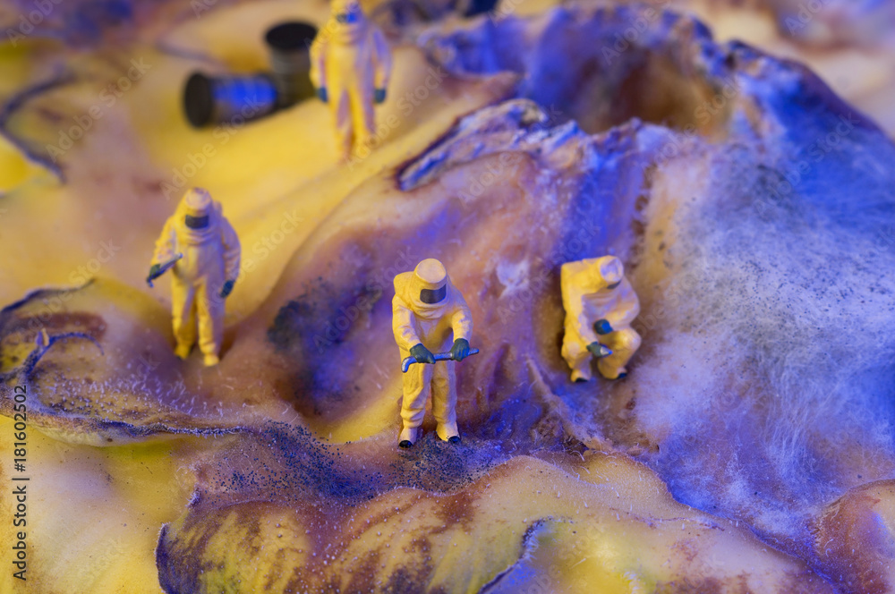 The ecologists or technicians or cleaners on a organic surface with fungus, which looks like a surface of another world or a planet with a crater. Environment pollution concept. Selective focus.