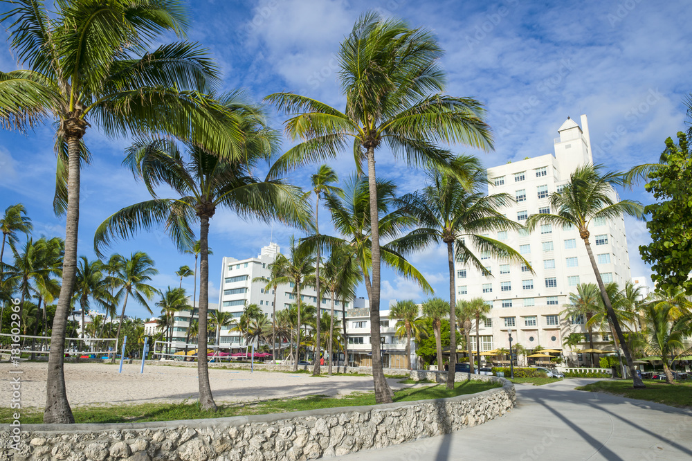 View of palm trees in Lummus Park with backdrop of art-deco Ocean Drive in South Beach, Miami
