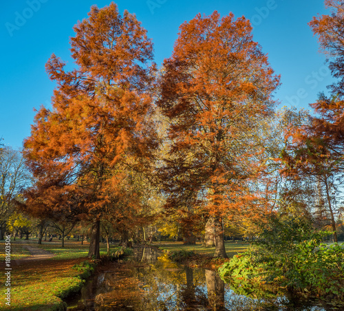 English Autumn colour © WilcoUK