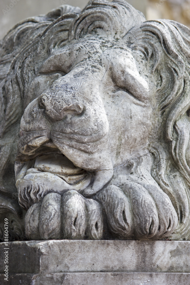 Lion sculpture, close up.
