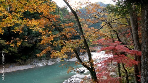 Autumn in Tokyo photo