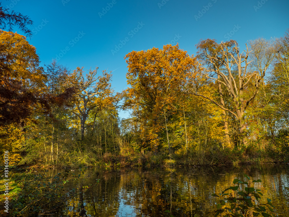 Autumn glory reflected in water