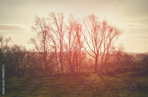 Red, Orange and yellow glow of a sunset over green pastures and trees in the English Countryside.