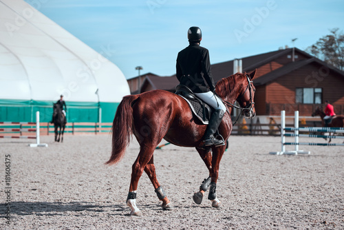 Young pretty girl riding a horse
