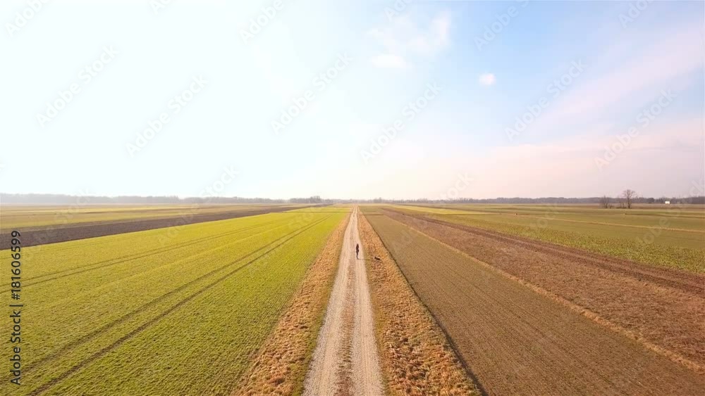 Aerial view of person walking dog between farm fields enjoying nature 4K Aerial view of person walking dog between farm fields enjoying nature 4K