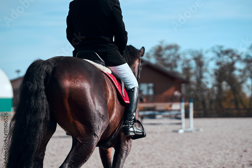 A rider on a brown horse. Speech of the riders.Young woman riding bay horse on dressage advanced test © Bogdan