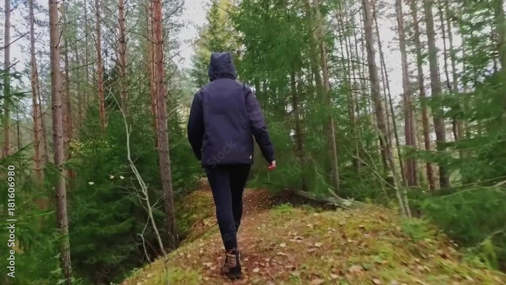 Young Female Walking among trees in forest. Slow motion footage. Amazing sunset, summer landscape. Young Female Walking among trees in forest. Slow motion footage. Amazing sunset, summer landscape.