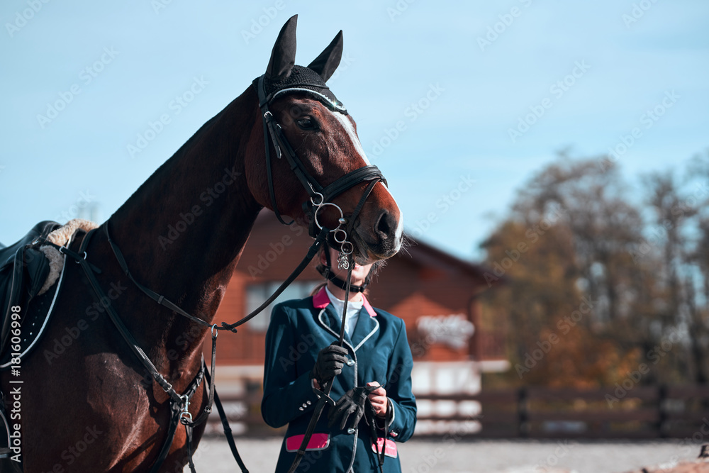 Obraz premium Dressage horse. A close up view of a horse in competition race