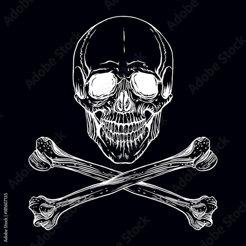 human skull and crossbones