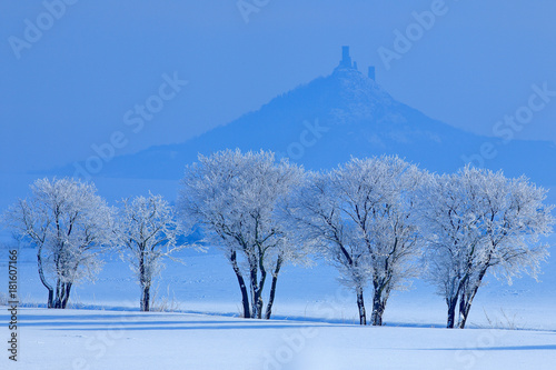 Winter scene with snow and trees. Hazmburk gothic castle on rocky mountain, hill landscape in Ceske Stredohori, Czech republic. Cold nature with ruin on top of the hill. Rime blue white trees.