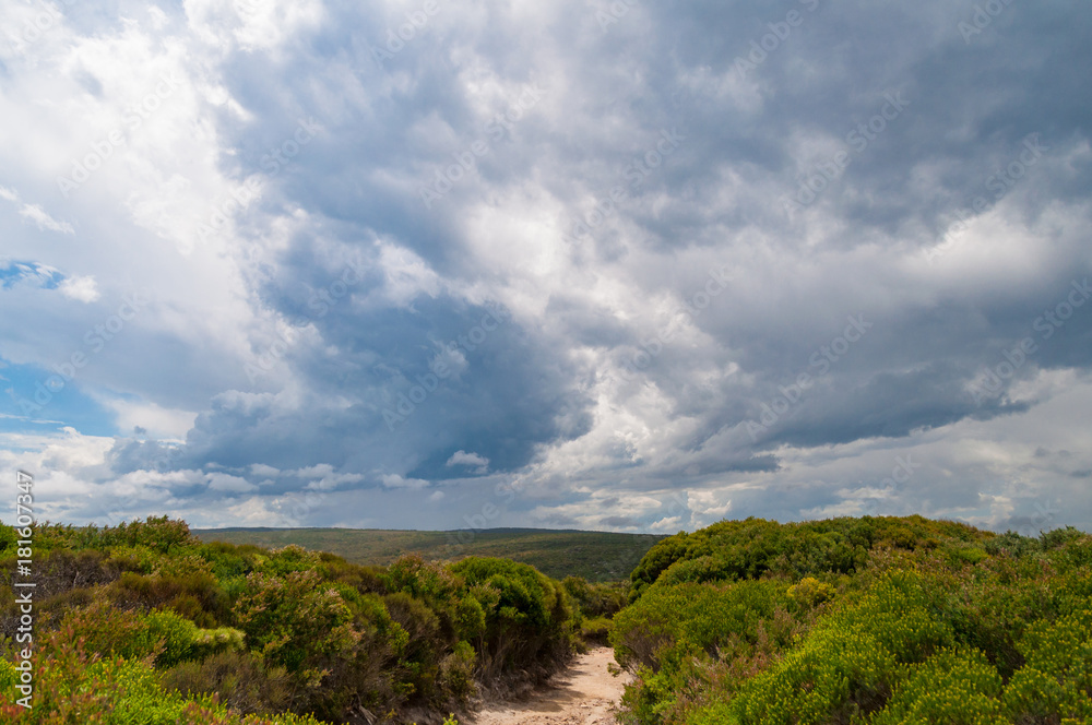 Hiking path in bushland with storm clouds in the sky