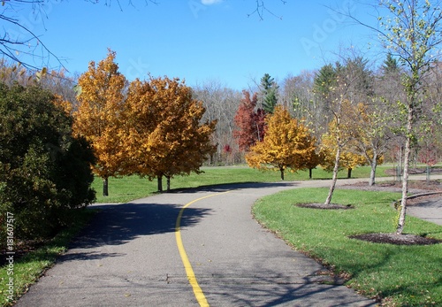 The curved path with the autumn trees on a sunny autumn day,