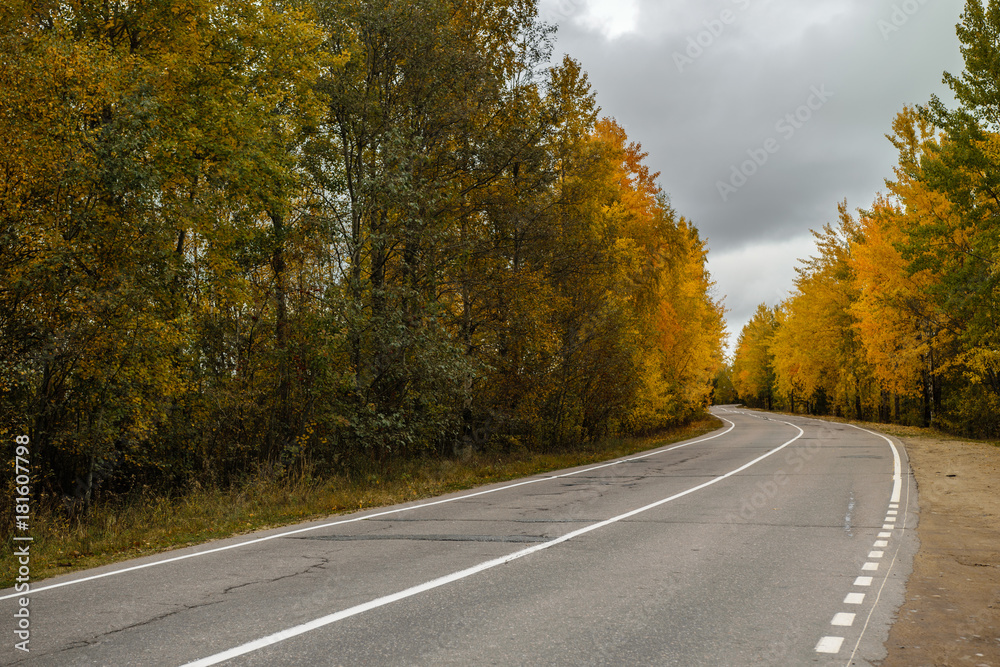 Rural autumn road in Leningrad Region, Russia