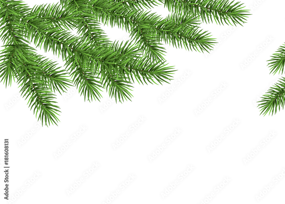 Xmas background with spruce branch.