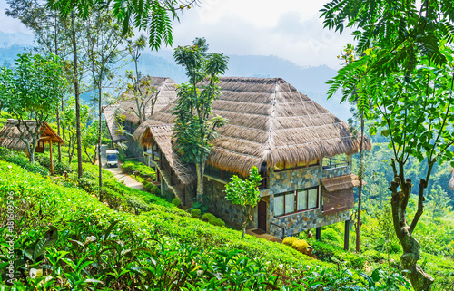 The luxury tourist estate in Ella, Sri Lanka