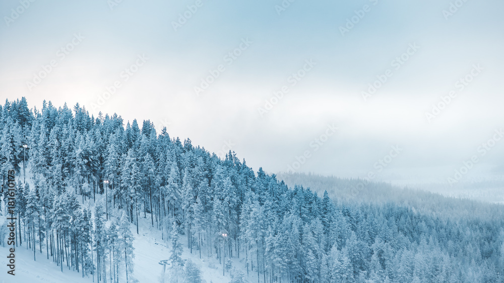 Fotografie Snowy mountains in lapland