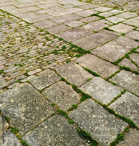 Cobblestone walkway