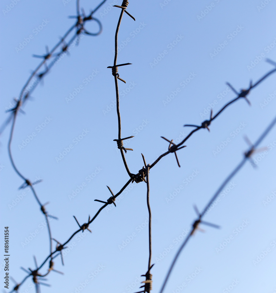 barbed wire on blue sky background barbed wire on blue sky background