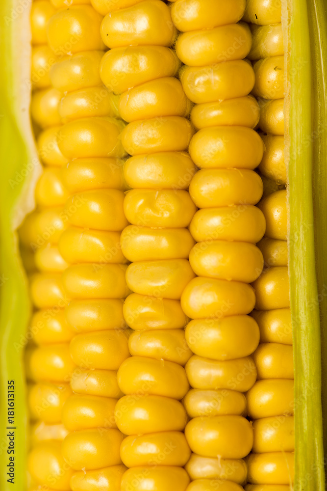 yellow corn kernels in the cob as a background yellow corn kernels in the cob as a background