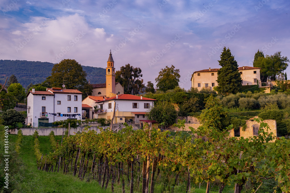 Wein anbau in Italien 2017