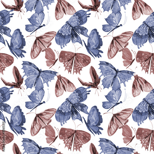 Exotic  butterfly wild insect pattern in a watercolor style. Full name of the insect   butterfly. Aquarelle wild insect for background  texture  wrapper pattern or tattoo.