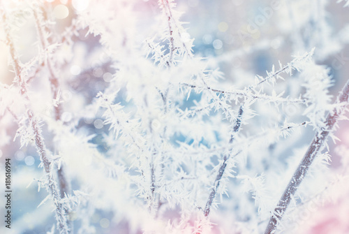 Winter Abstract Background - Frosty Snowy White Background with Bokeh and Sparke