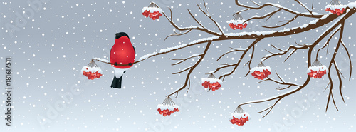 Snowy Christmas background with a bird and rowan tree branch. Vector illustration.