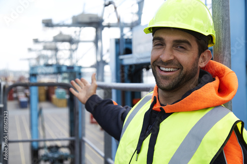 Εκτύπωση καμβά Happy docker in hardhat, smiling to camera