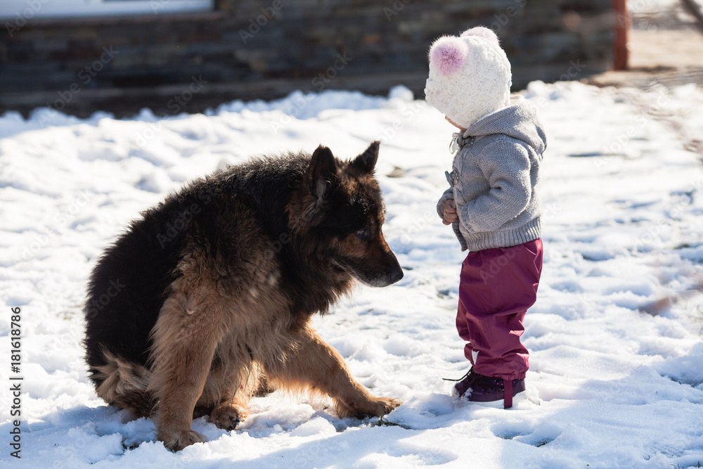 Naklejka premium Girl meets a dog on winter walk