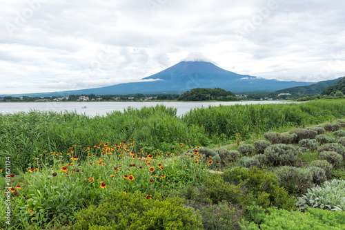 View of the Fuji mountain from the shore under the cloudy sky amid the lawn with flowers. Japan