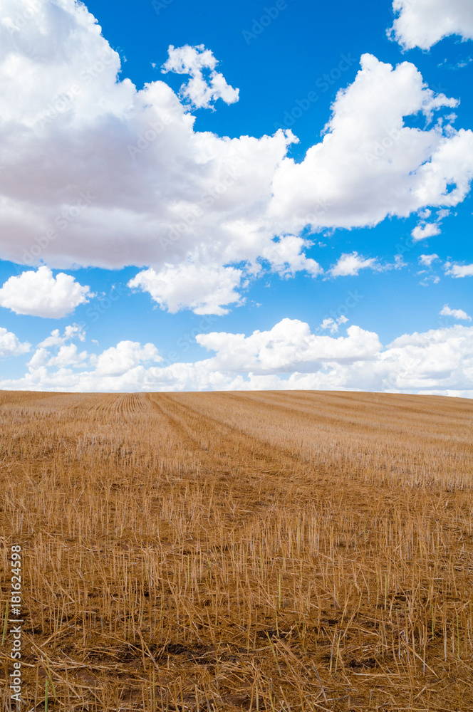 Obraz premium Australian outback landscape