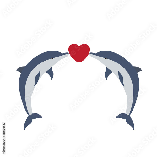 vector illustration of two dolphins being in love with little red heart between their noses