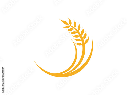 wheat plant technology agriculture