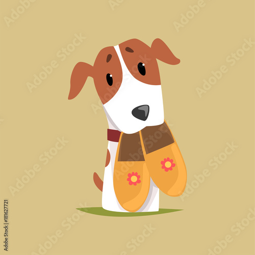 Jack russell puppy character with slippers in its mouth, cute funny terrier vector illustration