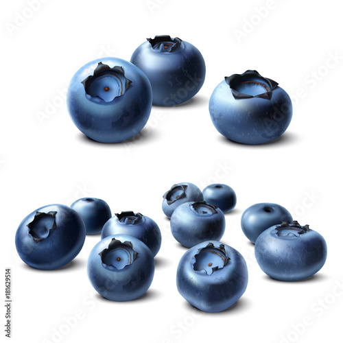 Blueberry. Forest berries isolated on white background