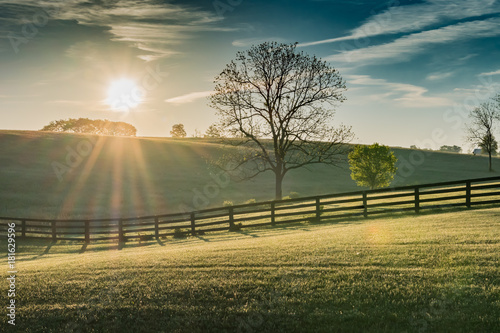 Sun Shines Over Rolling Kentucky Field photo